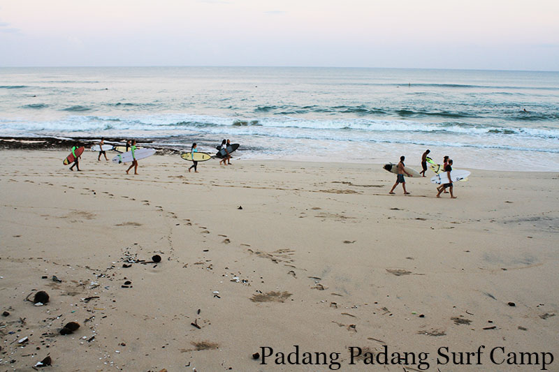 Advanced Surf Guiding At Dreamland Beach Bali April 23